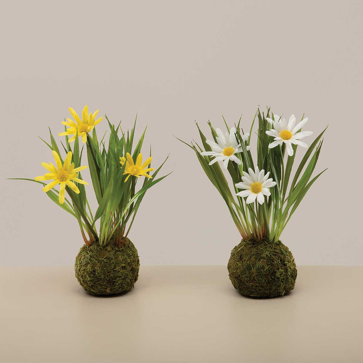 MINI DAISY ON MOSS BALL YELLOW 5IN X 8IN POLYESTER/PLASTIC - Click Image to Close